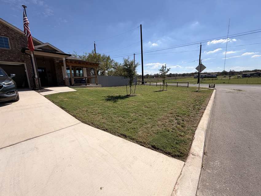 Finished front yard with brick home, pergola, concrete, and new trees